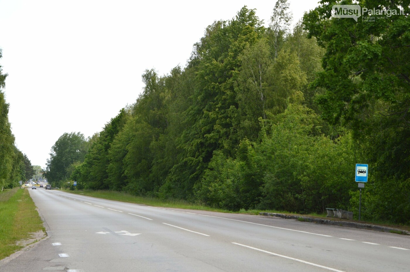 Palangą ir Nemirsetą netrukus sujungs naujas pėsčiųjų ir dviračių takas, nuotrauka-6