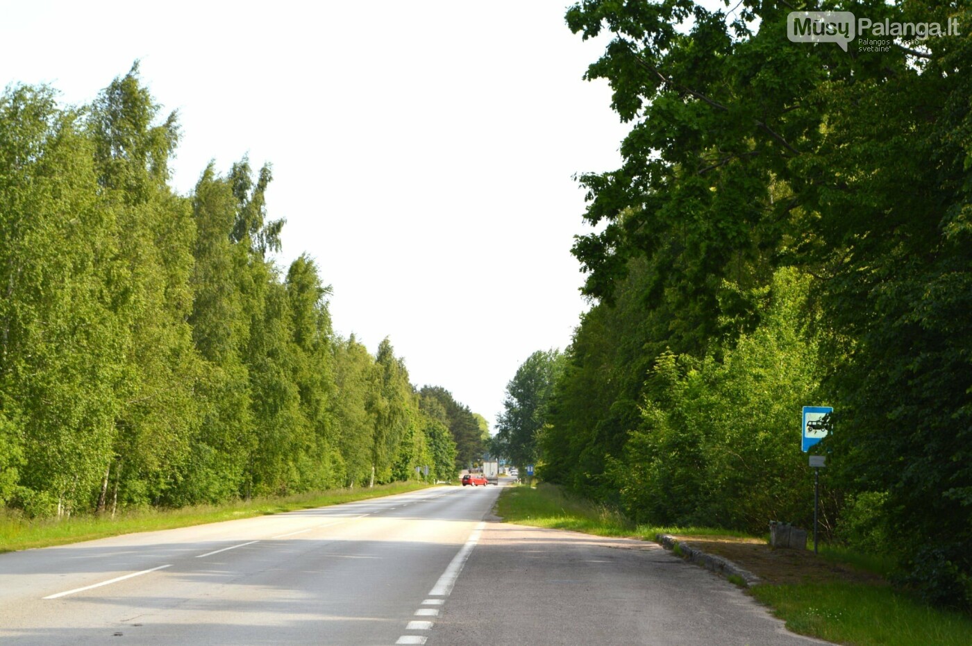 Palangą ir Nemirsetą netrukus sujungs naujas pėsčiųjų ir dviračių takas, nuotrauka-5