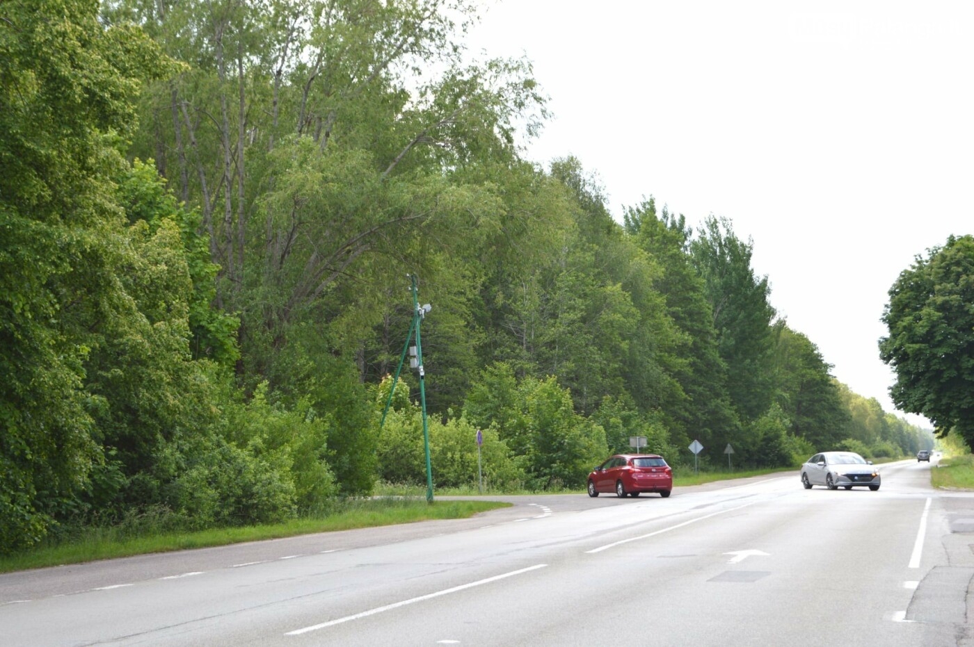 Palangą ir Nemirsetą netrukus sujungs naujas pėsčiųjų ir dviračių takas, nuotrauka-3