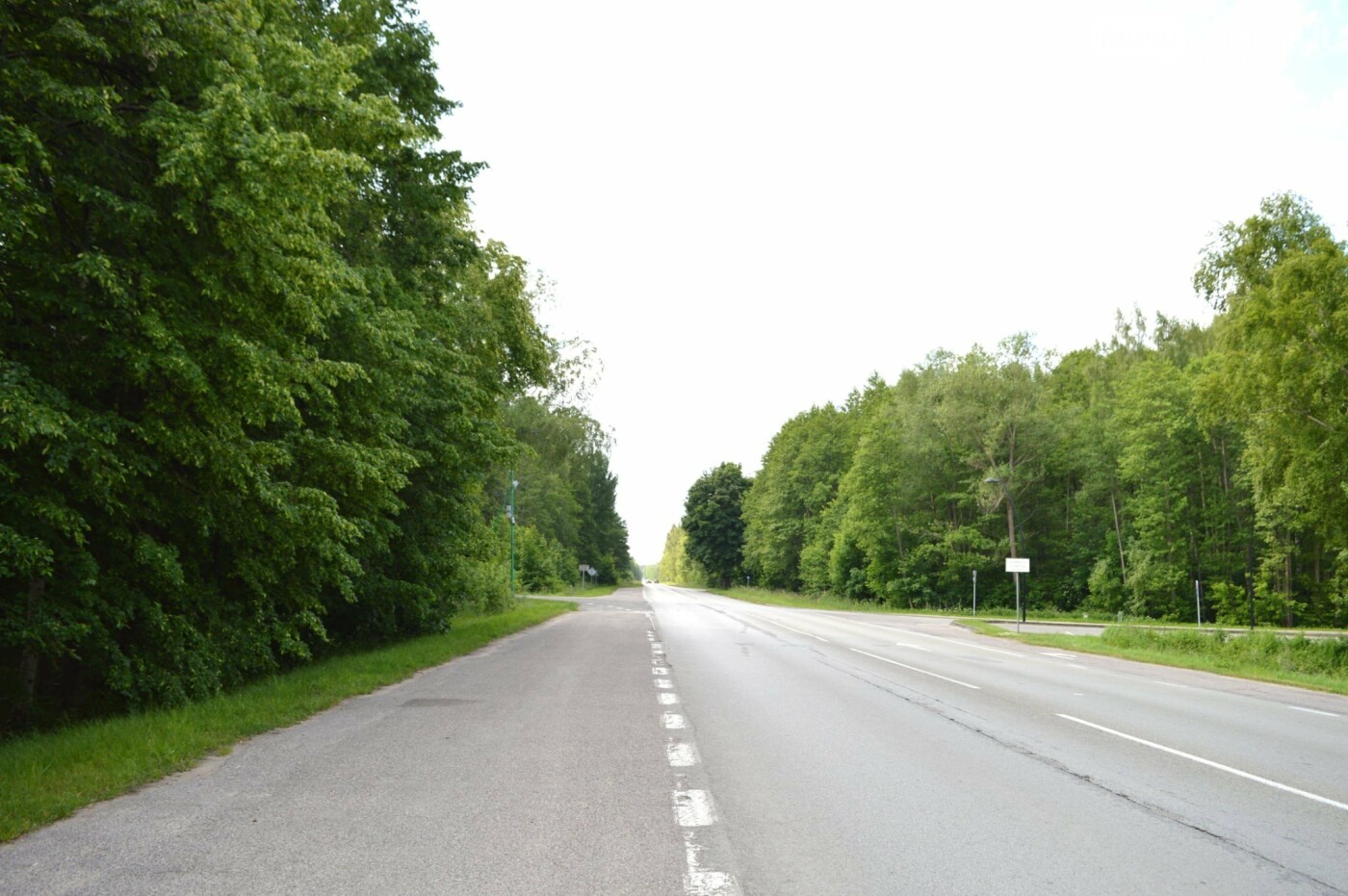 Palangą ir Nemirsetą netrukus sujungs naujas pėsčiųjų ir dviračių takas, nuotrauka-2