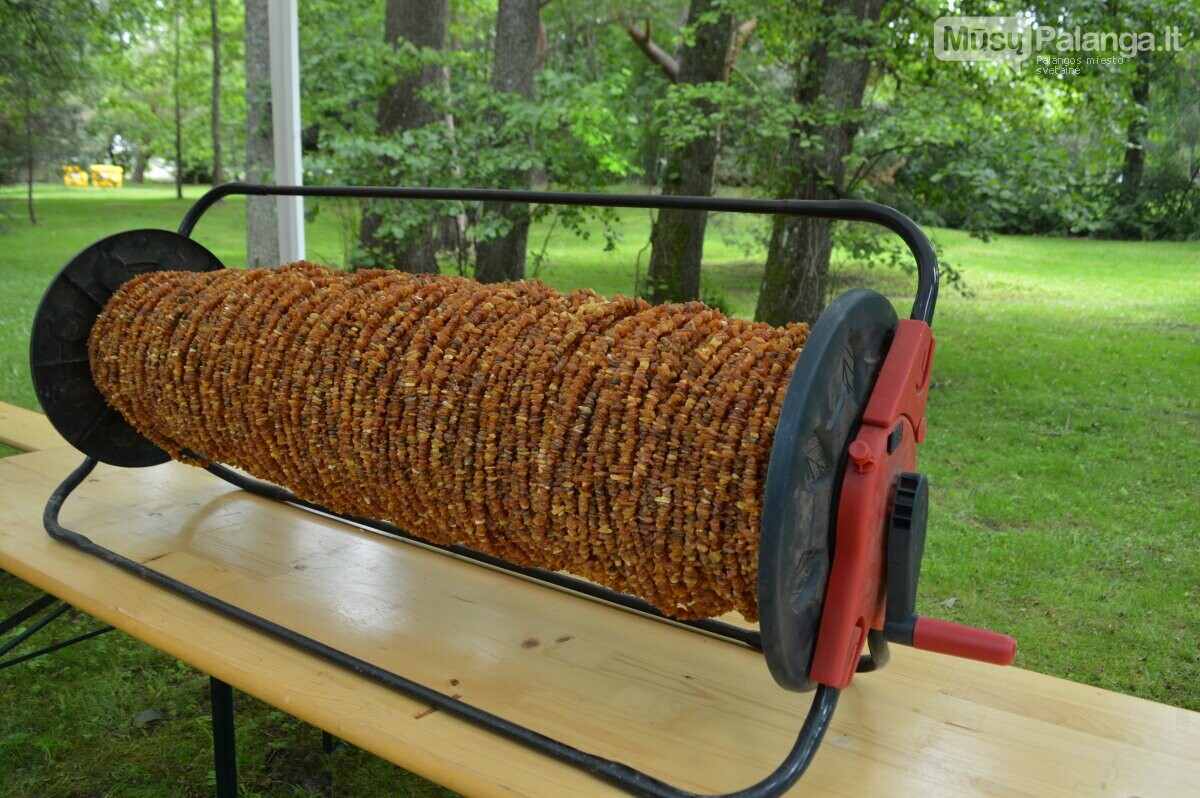 Lietuvybės jūra Palangoje – XII pasaulio lietuvių sporto žaidynėse susipynė aktyvi veikla. kultūra ir senosios tradicijos, nuotrauka-8