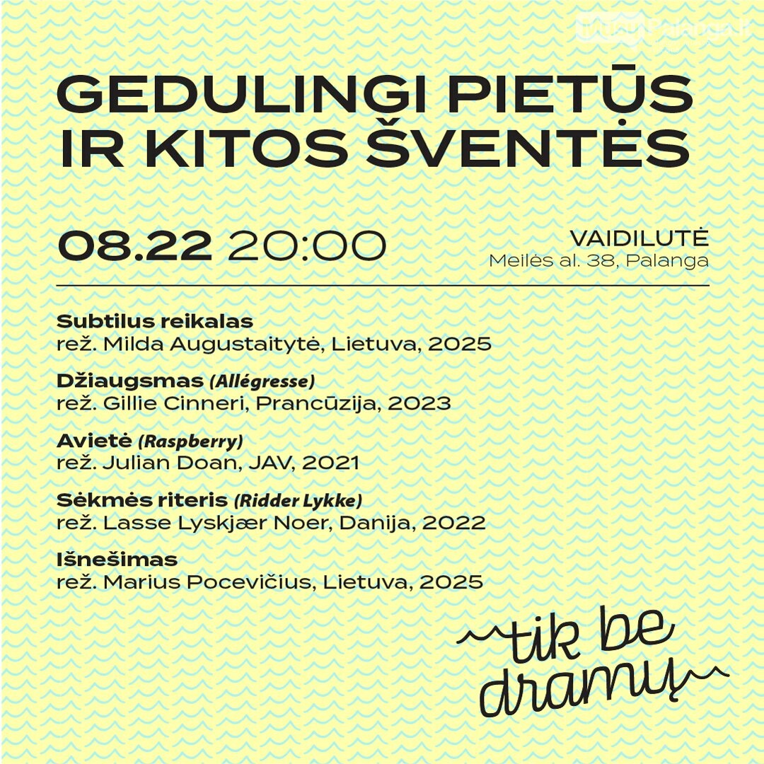 Komedijų kino festivalyje – „Gedulingi pietūs ir kitos šventės“. Kaip humoras padeda kalbėti apie mirtį, nuotrauka-1