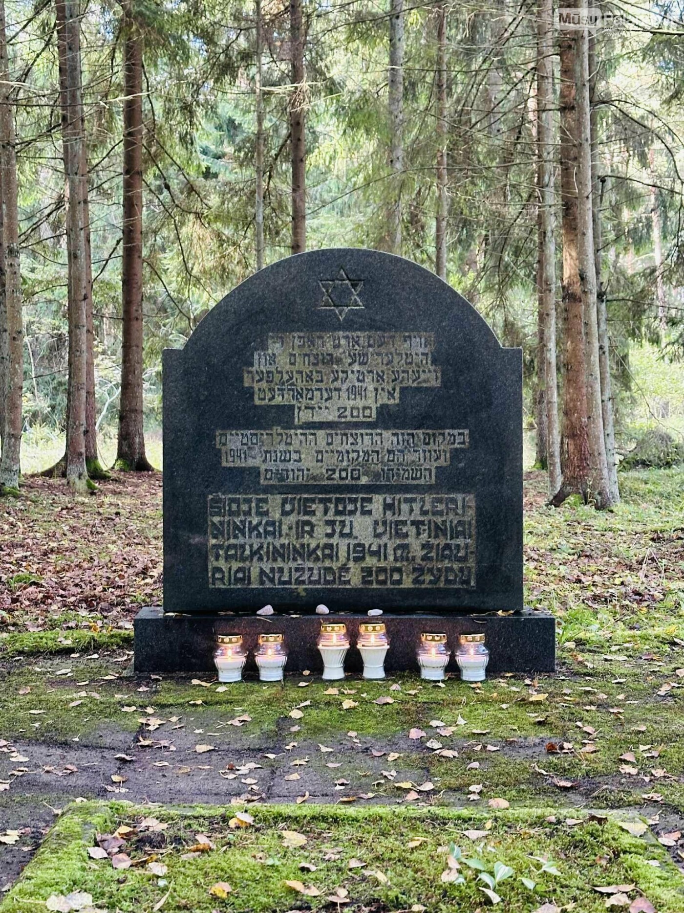  Prisimintos tragiškos Palangos žydų – moterų, vaikų ir pagyvenusiųjų – žudynės  Kunigiškių miške, nuotrauka-6