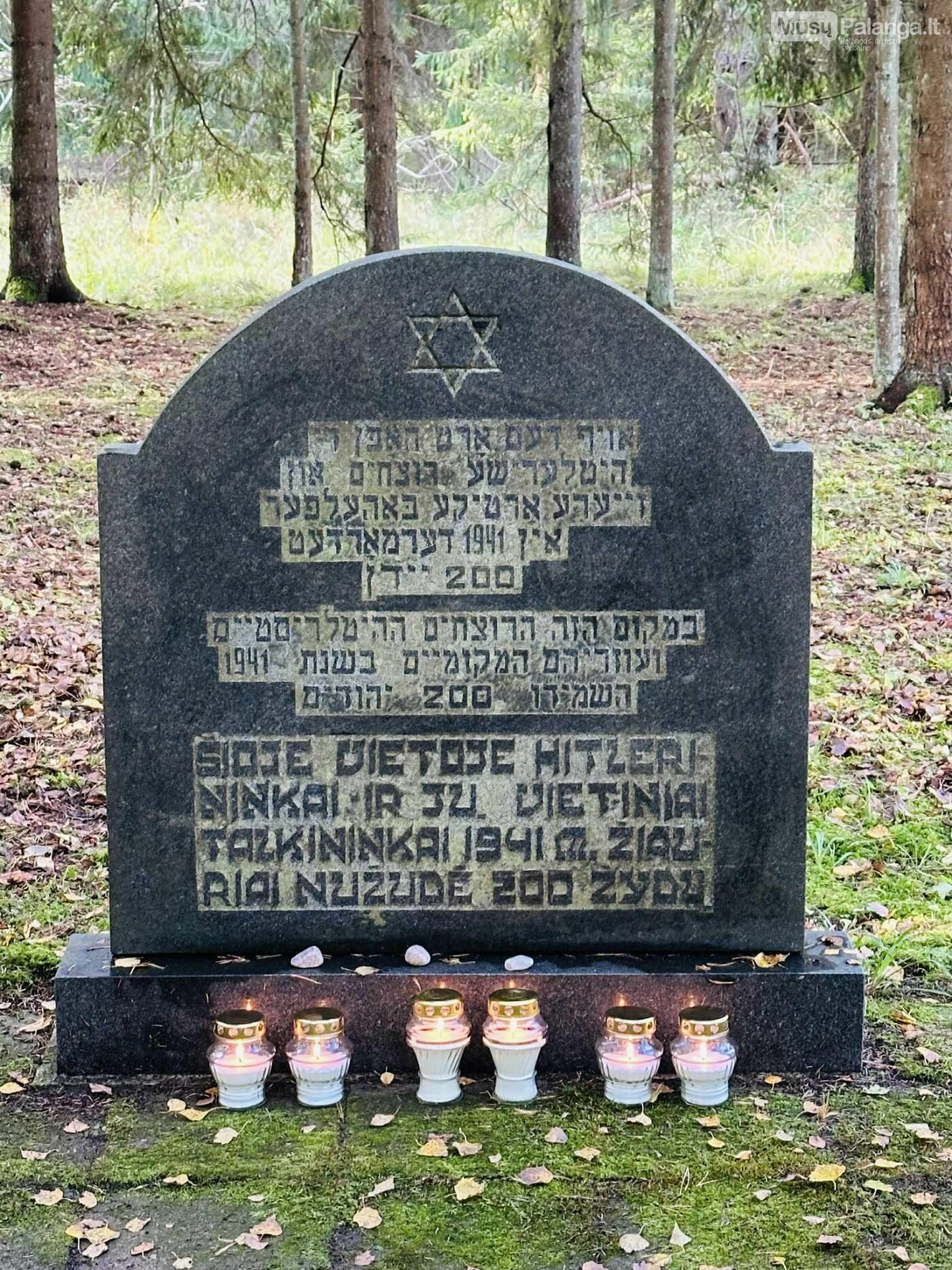  Prisimintos tragiškos Palangos žydų – moterų, vaikų ir pagyvenusiųjų – žudynės  Kunigiškių miške, nuotrauka-7