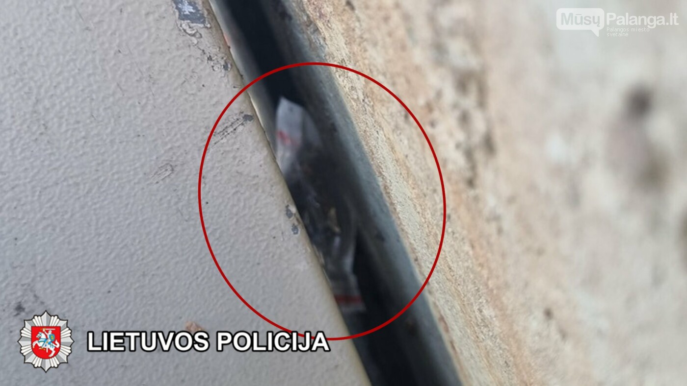 Klaipėdos kriminalistai atlikdami tyrimą sulaikė asmenis įtariamus platinusius kvaišalus dideliais kiekiais, nuotrauka-3