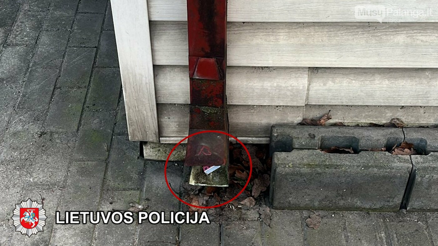 Klaipėdos kriminalistai atlikdami tyrimą sulaikė asmenis įtariamus platinusius kvaišalus dideliais kiekiais, nuotrauka-7