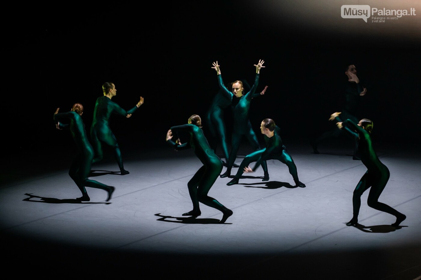 Tarptautinis baleto gala. Eglės Sabaliauskaitės nuotr.