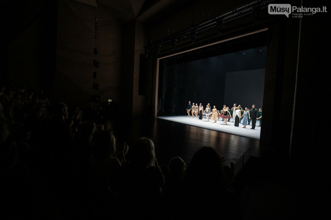Tarptautinis baleto gala. Eglės Sabaliauskaitės nuotr.
