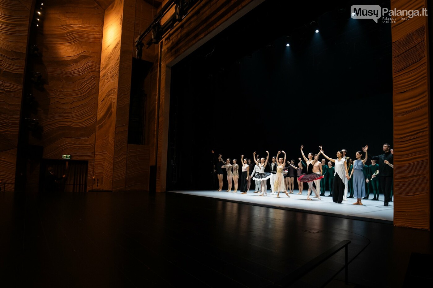 Tarptautinis baleto gala. Eglės Sabaliauskaitės nuotr.