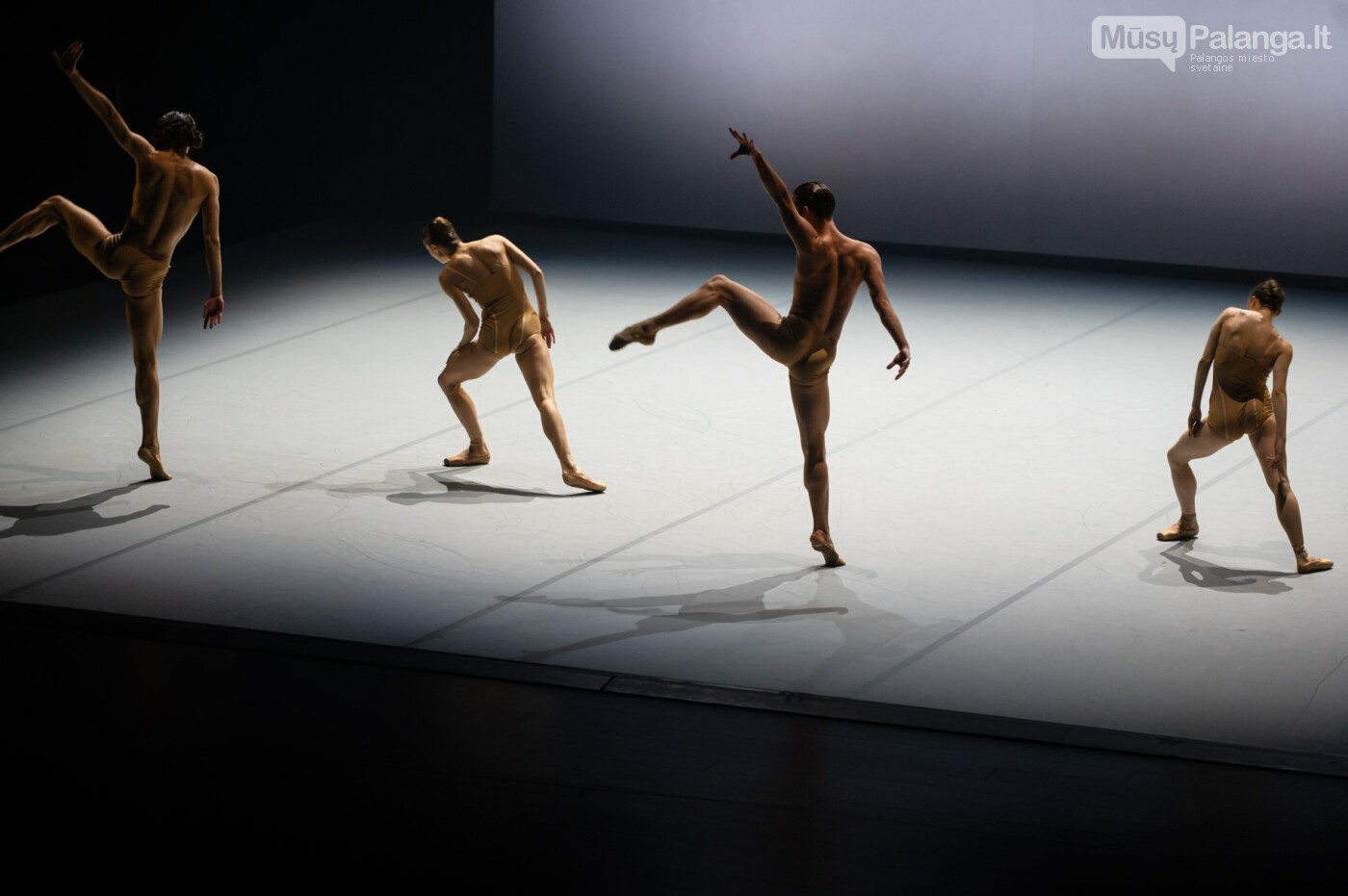 Tarptautinis baleto gala. Eglės Sabaliauskaitės nuotr.