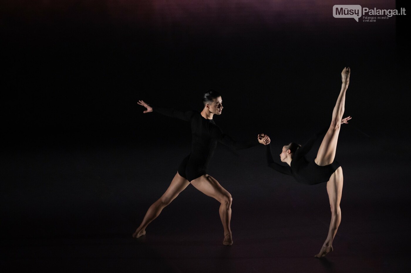 Tarptautinis baleto gala. Eglės Sabaliauskaitės nuotr.
