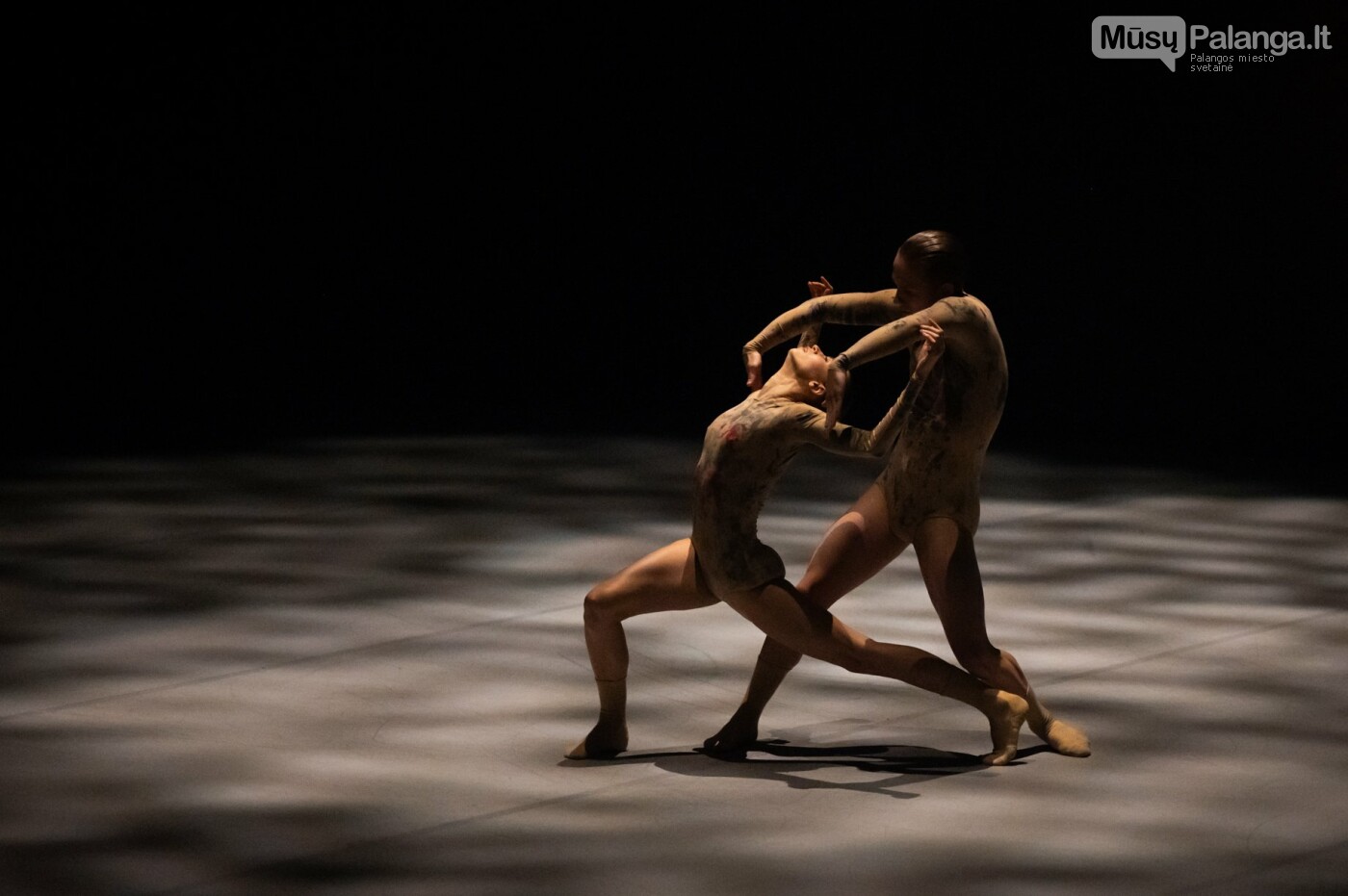 Tarptautinis baleto gala. Eglės Sabaliauskaitės nuotr.