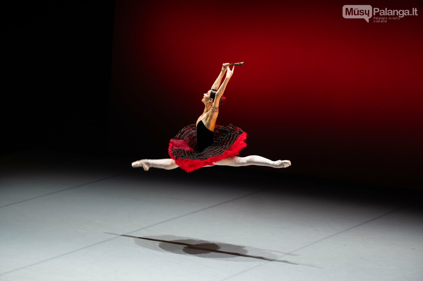 Tarptautinis baleto gala. Eglės Sabaliauskaitės nuotr.