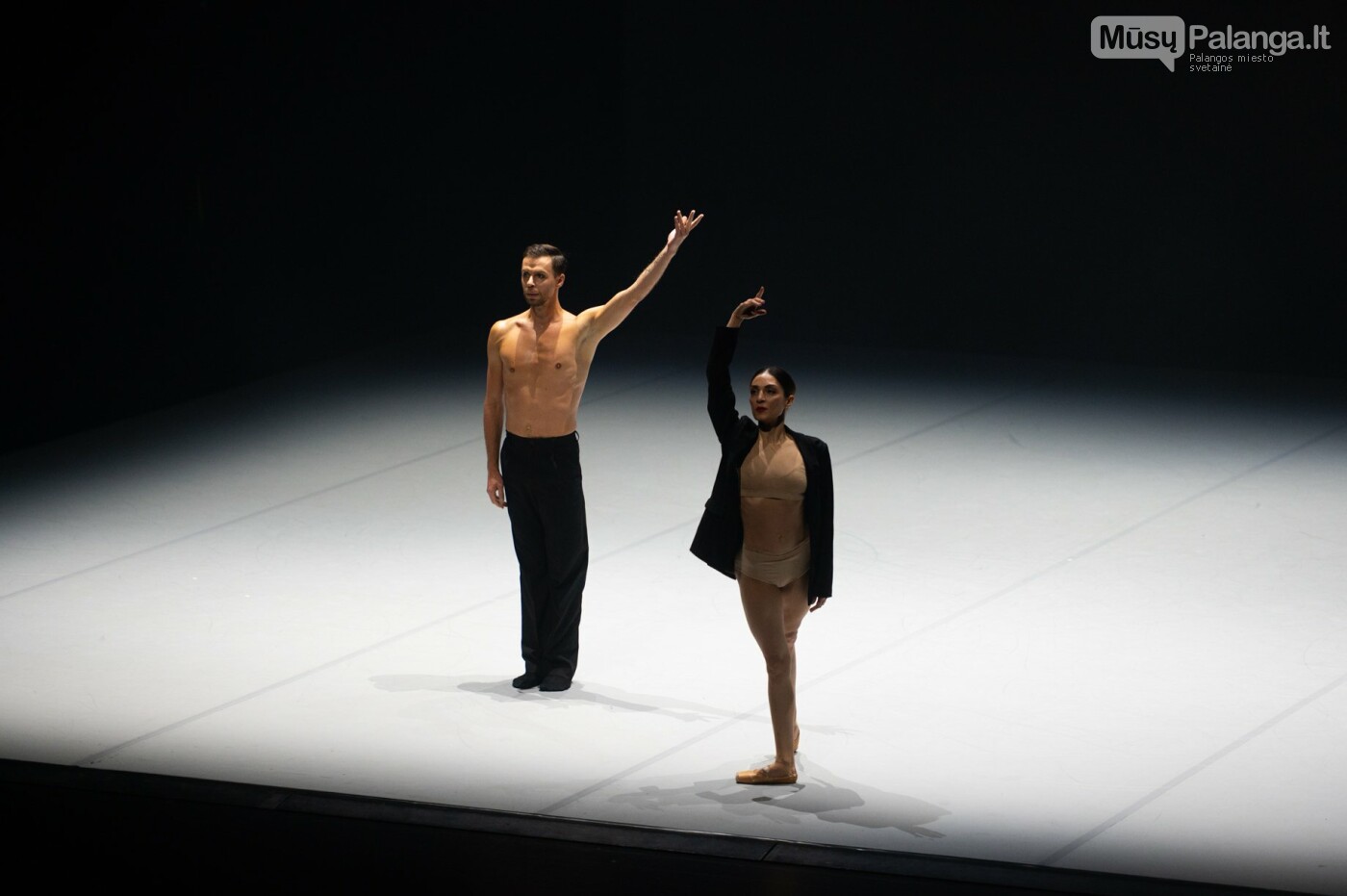 Tarptautinis baleto gala. Eglės Sabaliauskaitės nuotr.