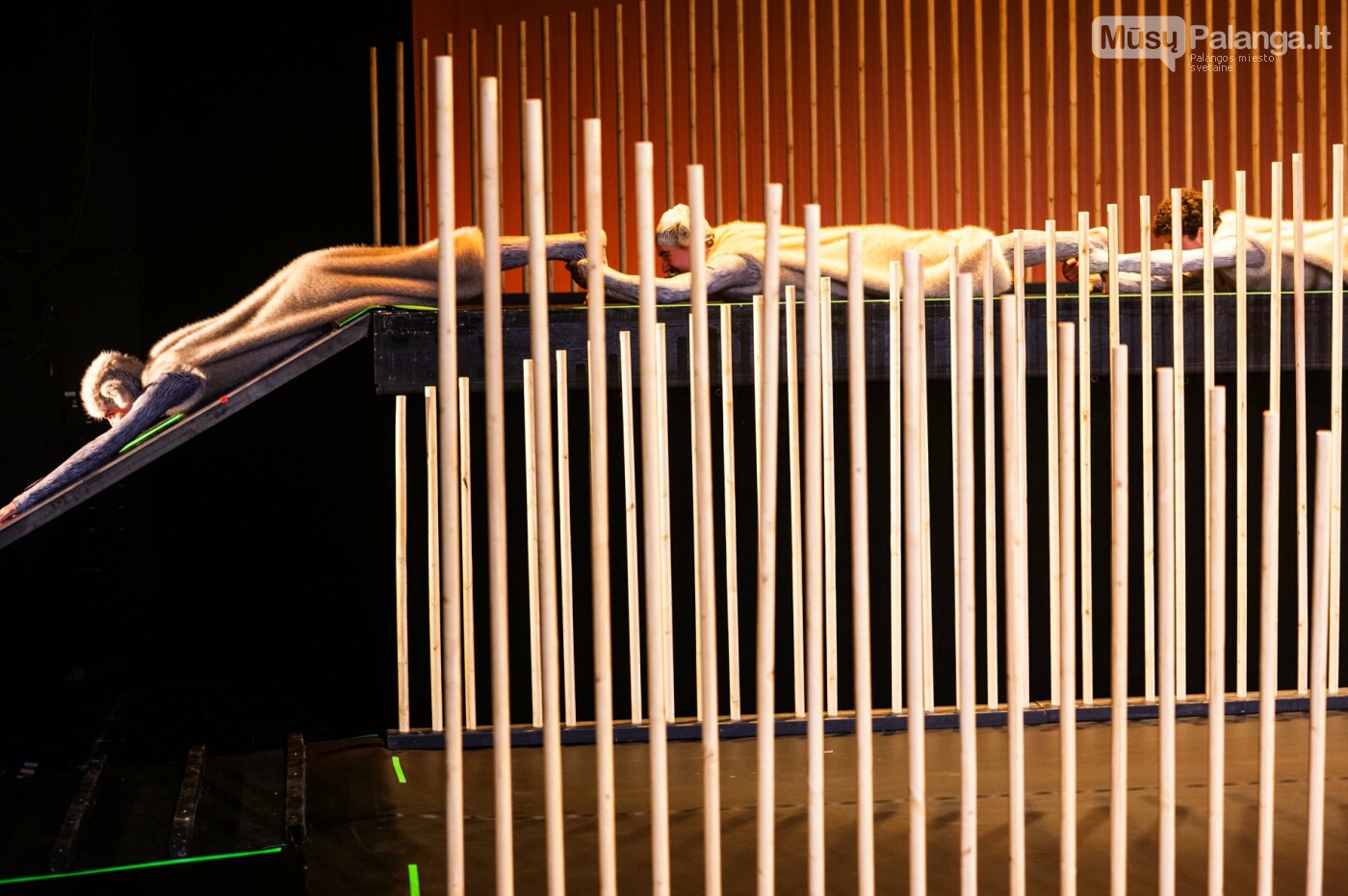 „Panama labai graži“ spaudos konferencija. Eglės Sabaliauskaitės nuotr.