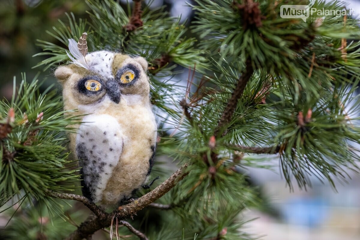 Palangos moksleivių klubas prisidėjo prie kalėdinių žaisliukų kūrimo akcijos, nuotrauka-11