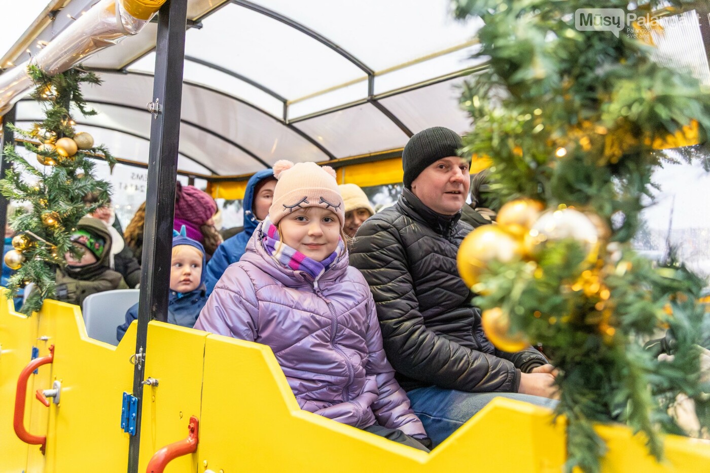 Kretingoje kalėdine šviesa sutvisko užburianti žaliaskarė, nuotrauka-1