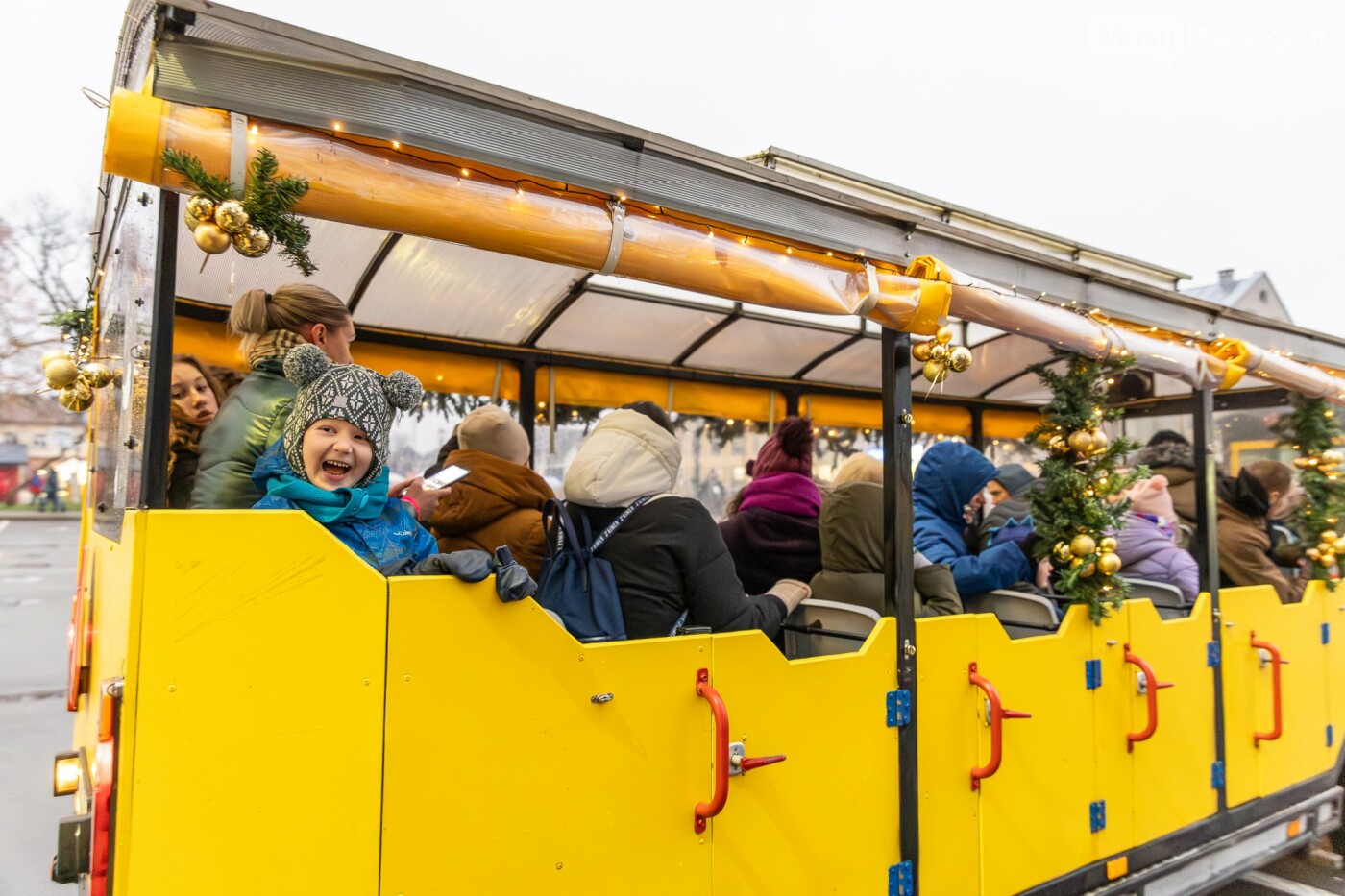 Kretingoje kalėdine šviesa sutvisko užburianti žaliaskarė, nuotrauka-2