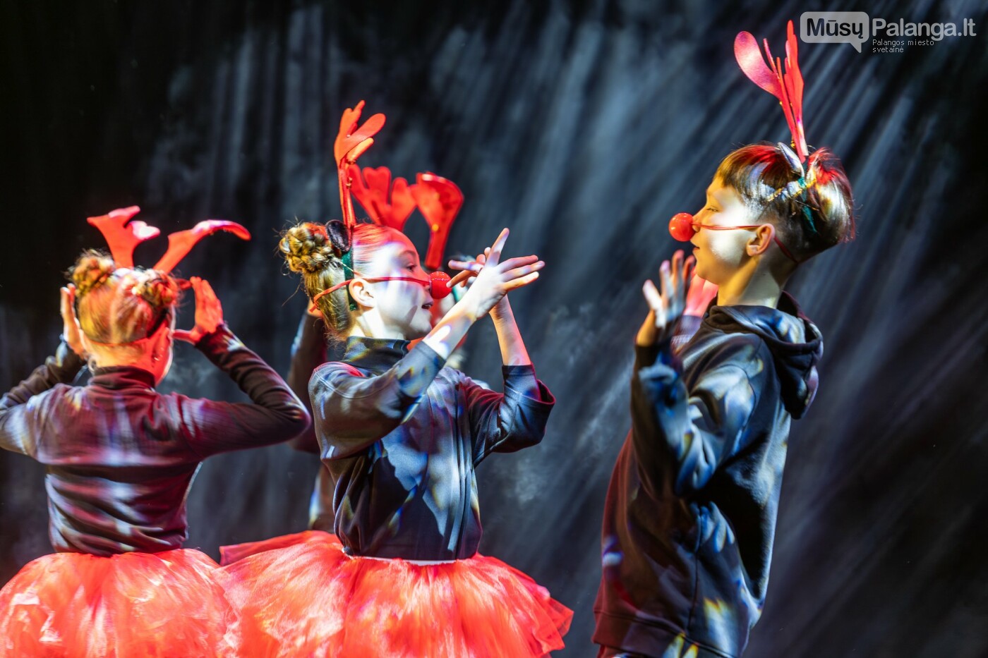 Kretingoje kalėdine šviesa sutvisko užburianti žaliaskarė, nuotrauka-17