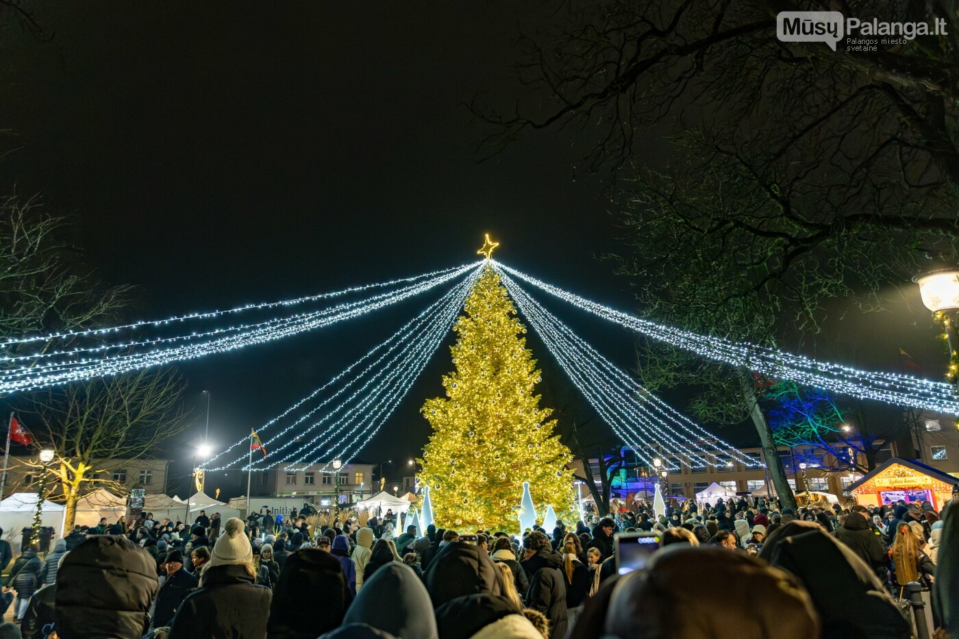 Kretingoje kalėdine šviesa sutvisko užburianti žaliaskarė, nuotrauka-19