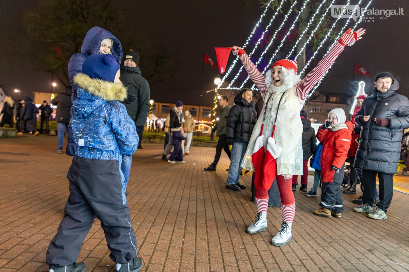 Kretingoje kalėdine šviesa sutvisko užburianti žaliaskarė, nuotrauka-28