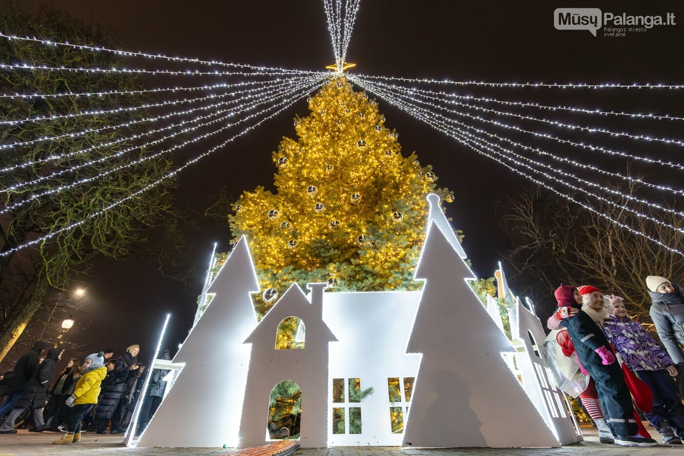 Kretingoje kalėdine šviesa sutvisko užburianti žaliaskarė, nuotrauka-36