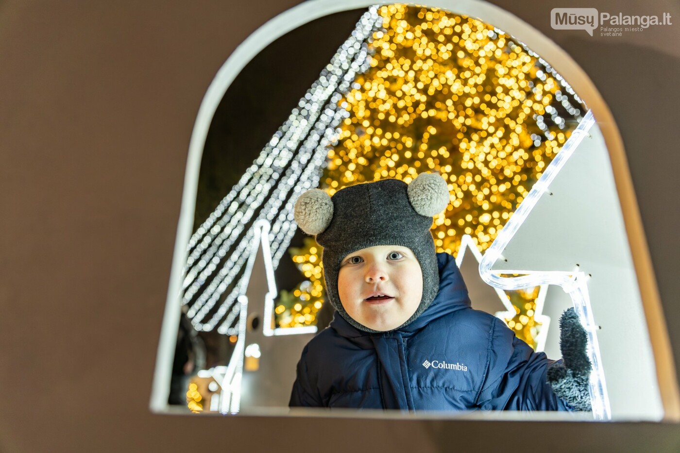 Kretingoje kalėdine šviesa sutvisko užburianti žaliaskarė, nuotrauka-33