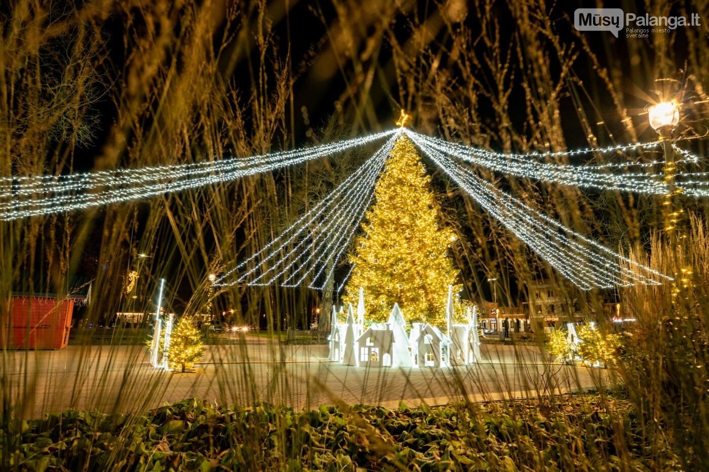 Kretingoje kalėdine šviesa sutvisko užburianti žaliaskarė, nuotrauka-38