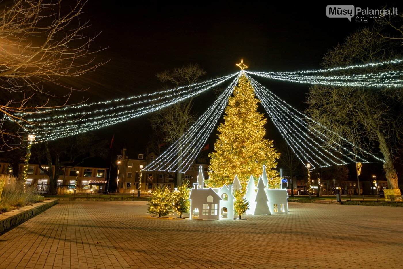 Kretingoje kalėdine šviesa sutvisko užburianti žaliaskarė, nuotrauka-39