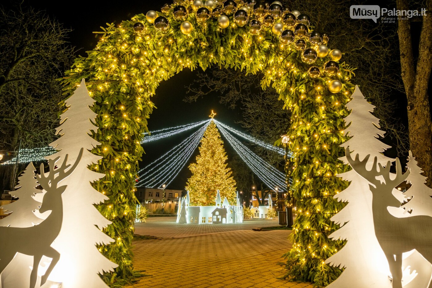 Kretingoje kalėdine šviesa sutvisko užburianti žaliaskarė, nuotrauka-40