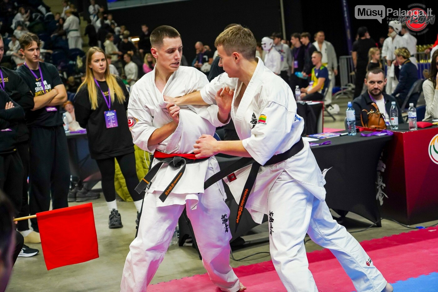Karate mokyklos „Shodan“ auklėtinių pergalės viename..., nuotrauka-1 Karate mokyklos „Shodan“ auklėtinių pergalės viename didžiausių Europos karate kyokushin turnyrų „Ippon Cup 2025“, nuotrauka-1