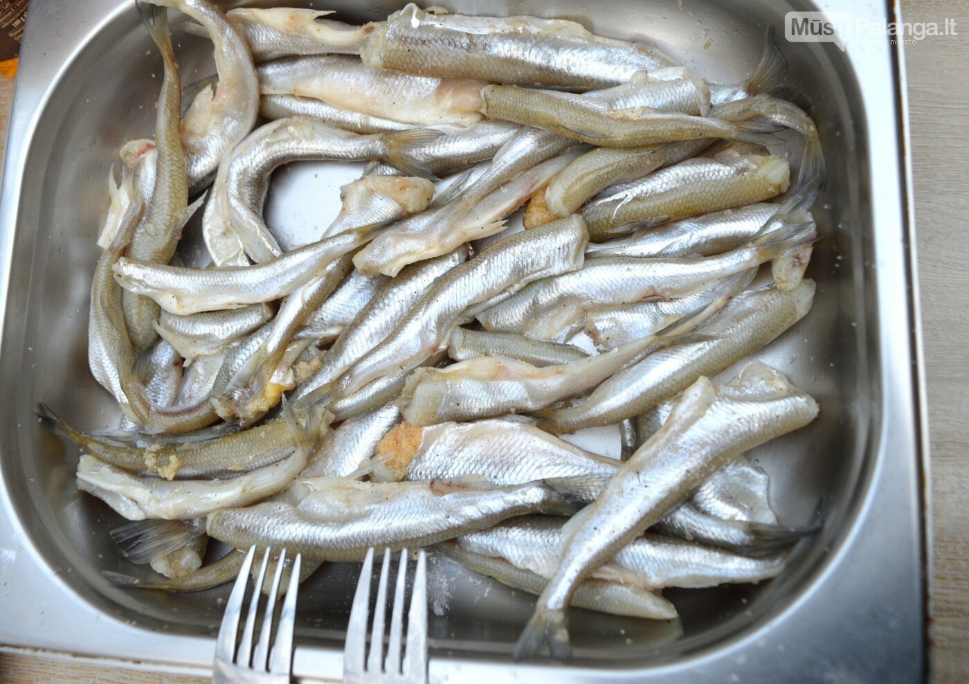 Iki „Palangos stintos“ liko vos mėnuo – keptuvės paruoštos, linksmybės suplanuotos, nuotrauka-3