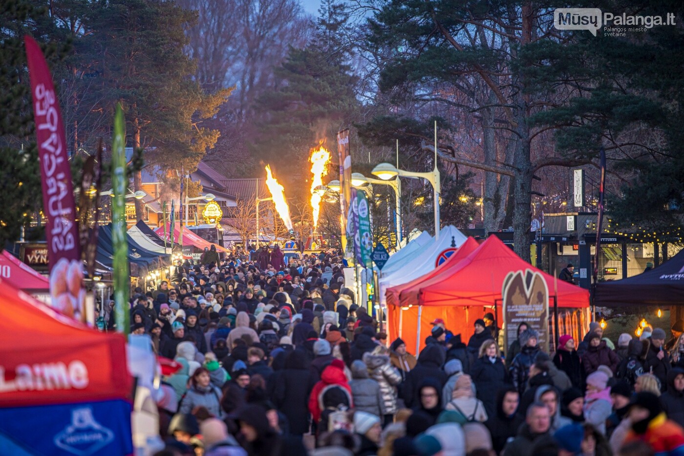 Iki „Palangos stintos“ liko vos mėnuo – keptuvės paruoštos, linksmybės suplanuotos, nuotrauka-5