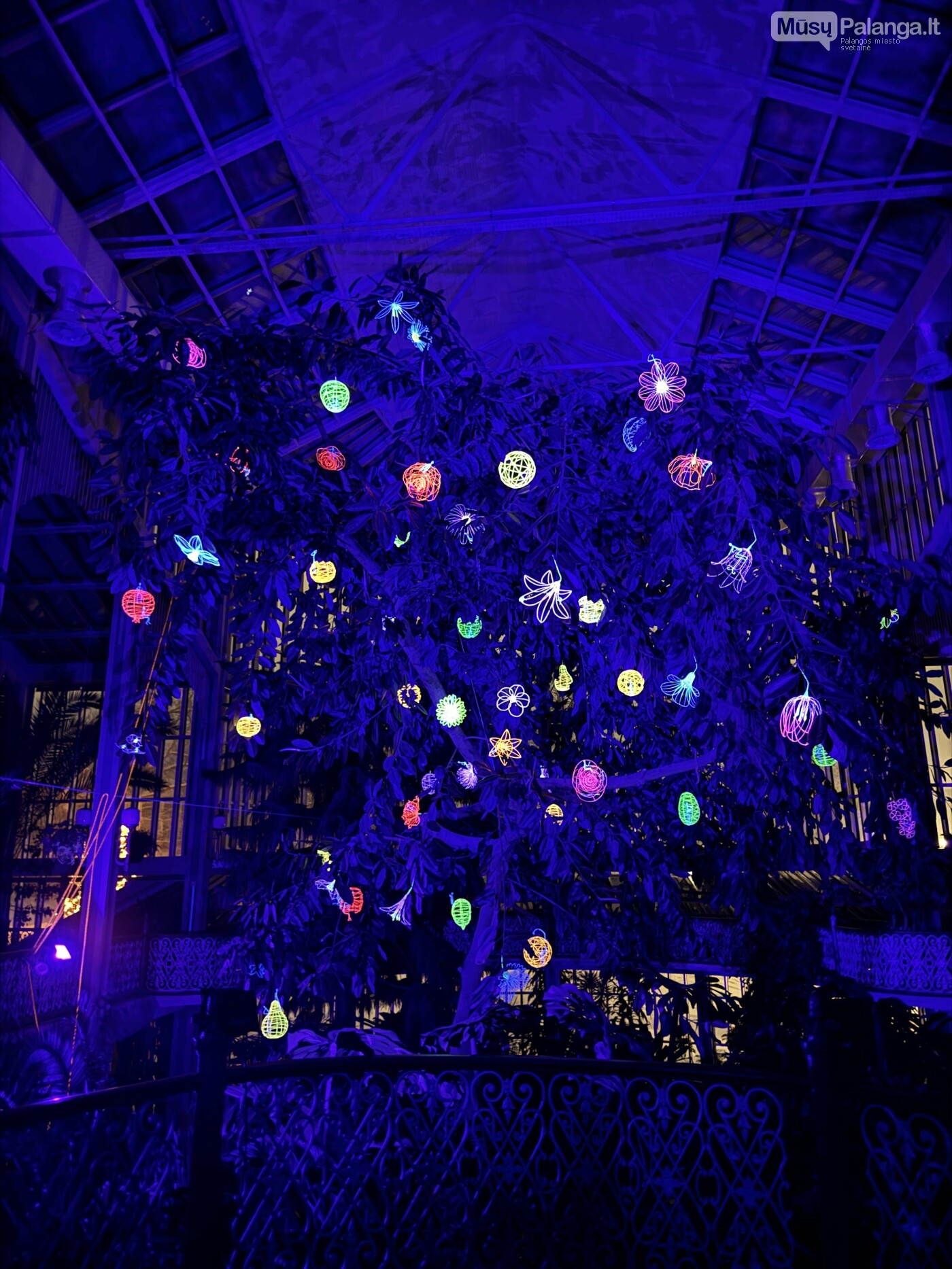 Gyvybės medis Žiemos sode nušvis sausio 8-ąją