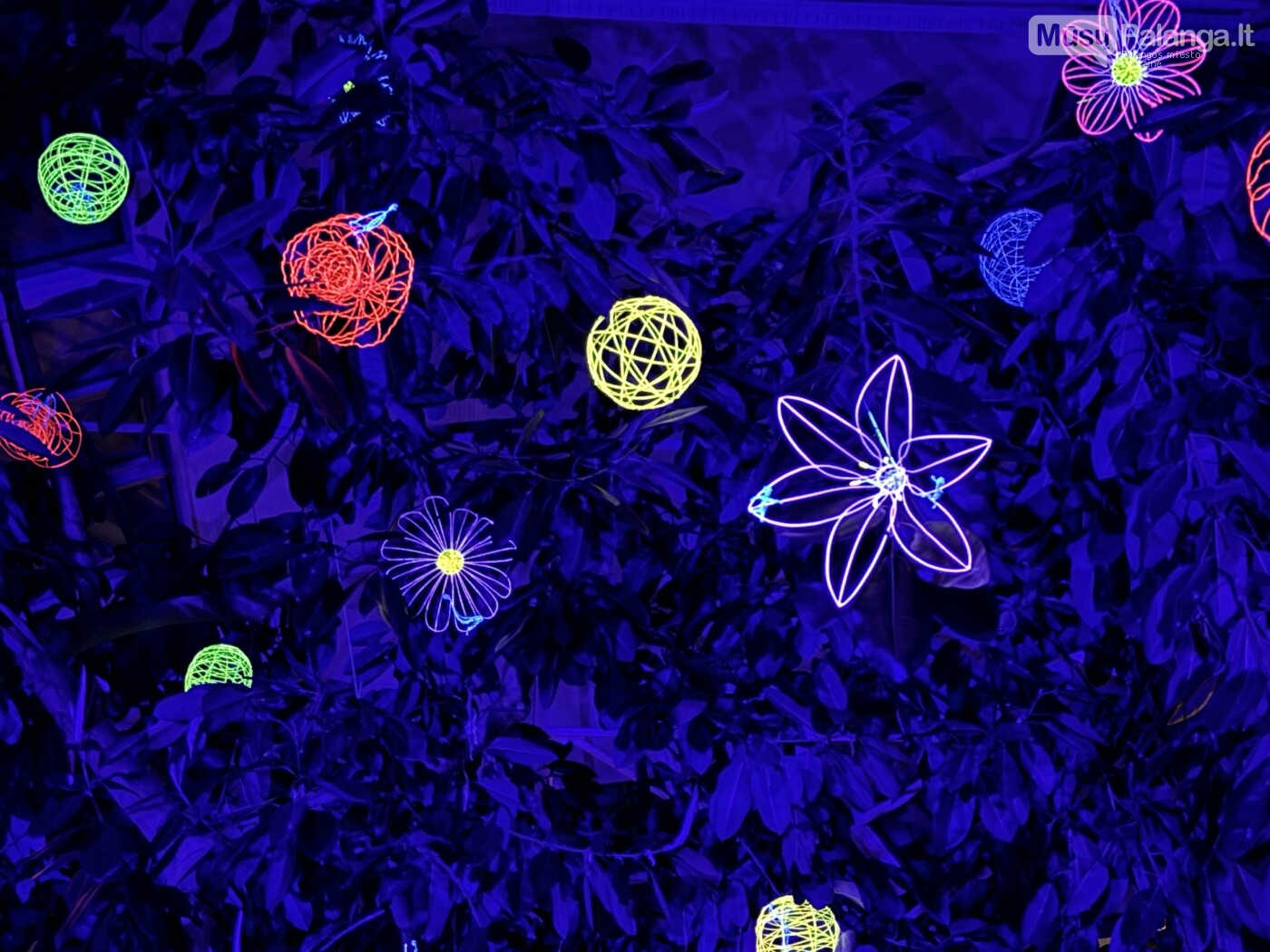 Gyvybės medis fragmentas