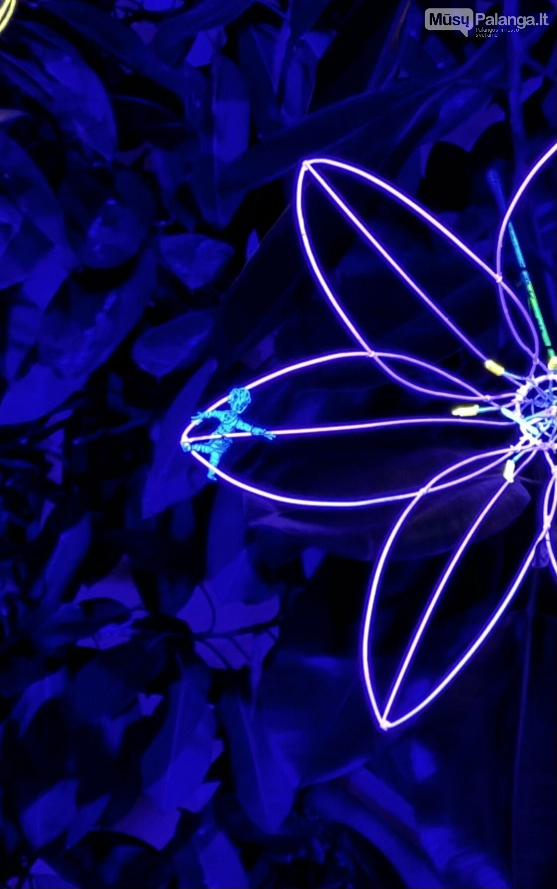 Maža ir didelė gyvybės iš Gyvybės medžio