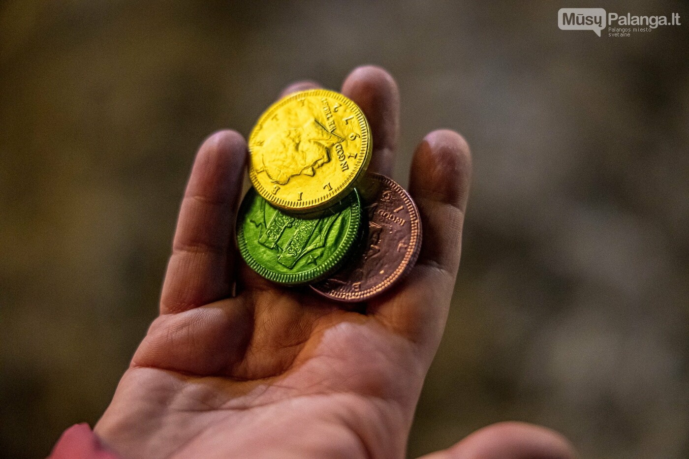 Nuotr. Aldo Kazlausko