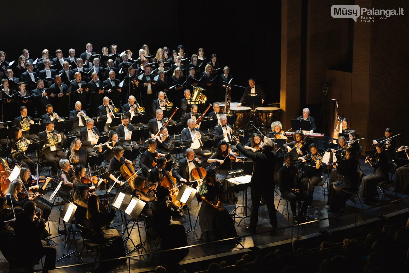 Koncertas „Istorijos dvasia“. Dominyko Mažūno nuotr.