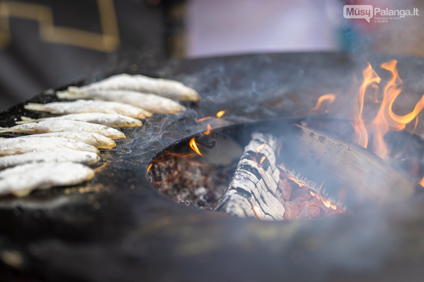 „Palangos stinta“ jau čia pat – Didžioji šventės karalienė kviečia pramogauti. Šventės programa, nuotrauka-1