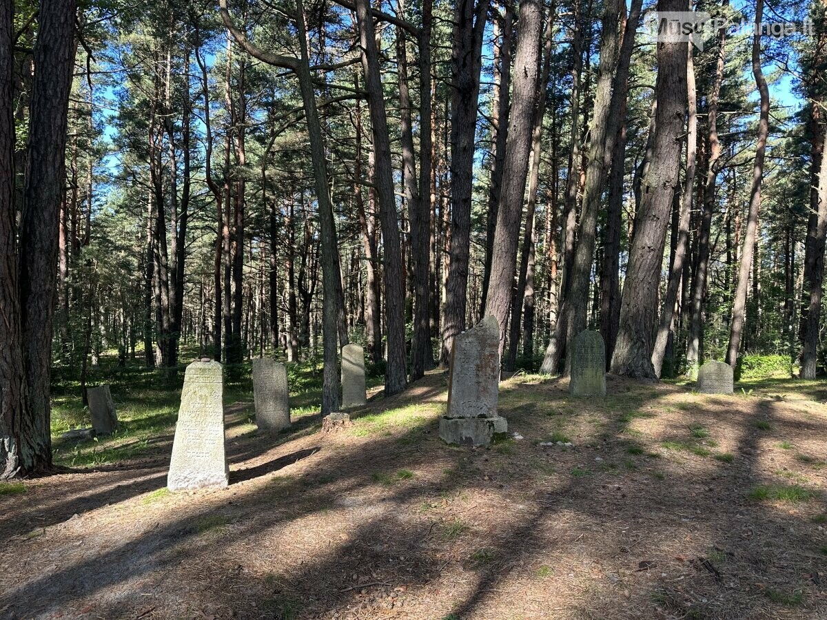 Palangos žydų kapinių istorinis palikimas: epitafijos, metrikai, ribos, nuotrauka-6