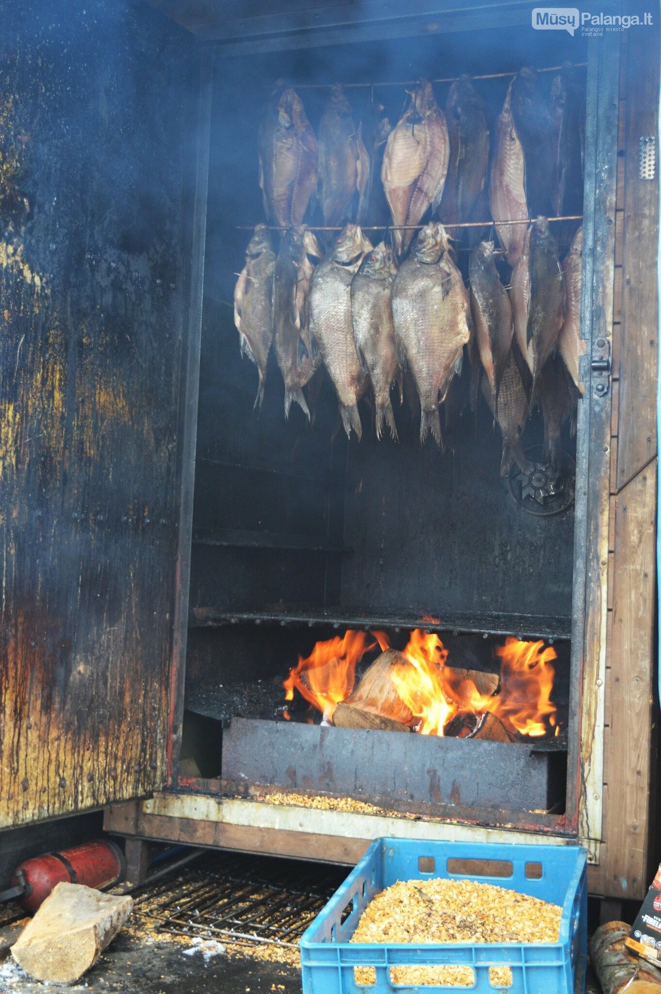 Kvapas, kurio neįmanoma supainioti – Palangoje prasidėjo Stintų šventė, nuotrauka-3
