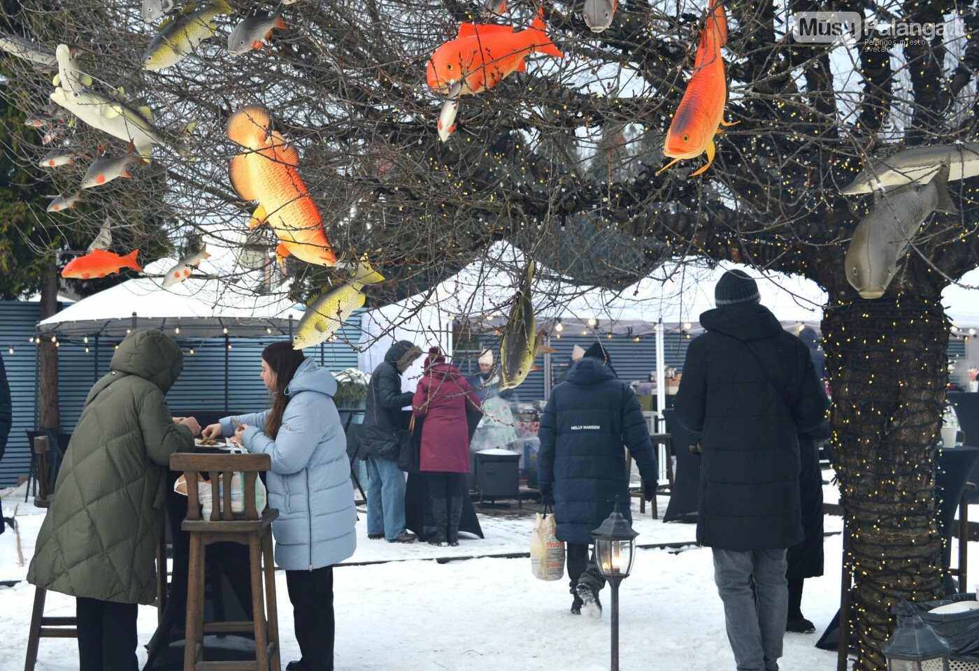 Kvapas, kurio neįmanoma supainioti – Palangoje prasidėjo Stintų šventė, nuotrauka-4