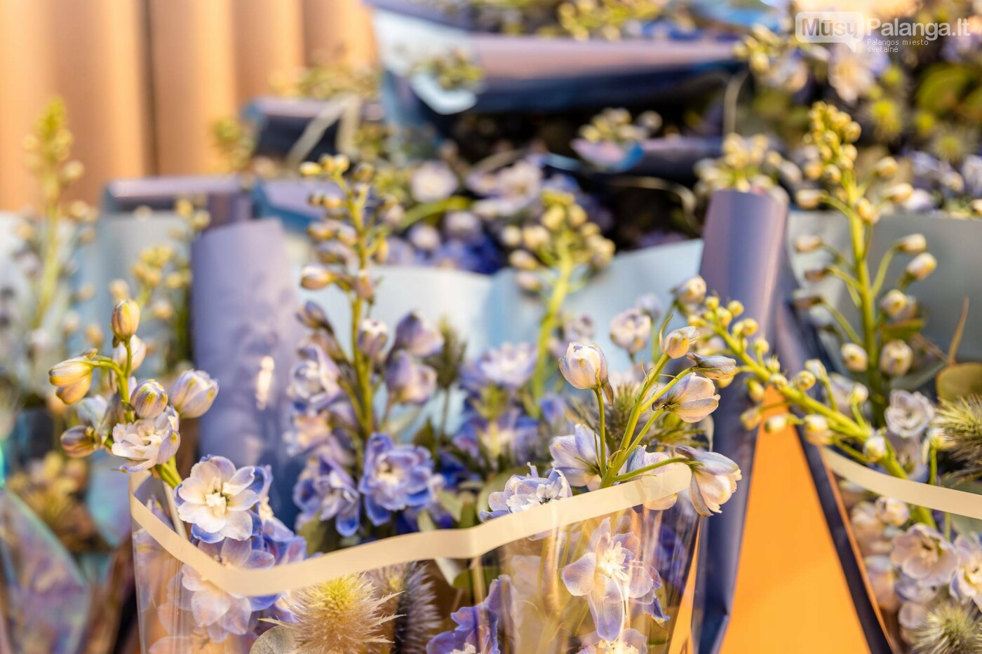 Ypatingas vakaras Kurhauze: Palangoje įteikti jaunimo apdovanojimai KOPA, nuotrauka-8