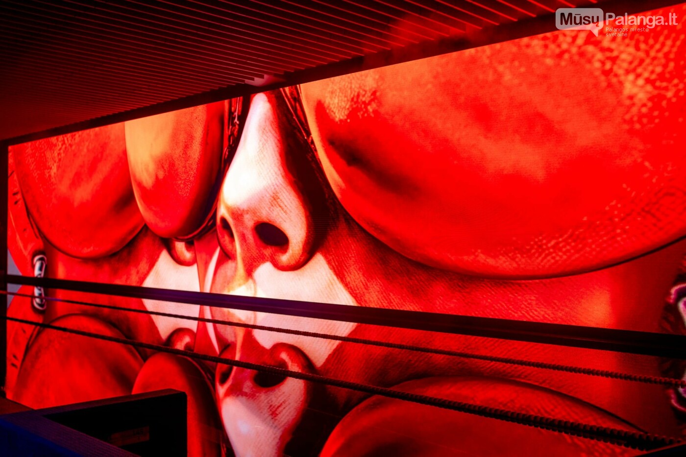 Kai menas peržengia drobės ribas. Algis Kriščiūnas pristato naują savo paveikslų filmą milžiniškame „Gradiali“ baseinų erdvės ekrane, nuotrauka-21