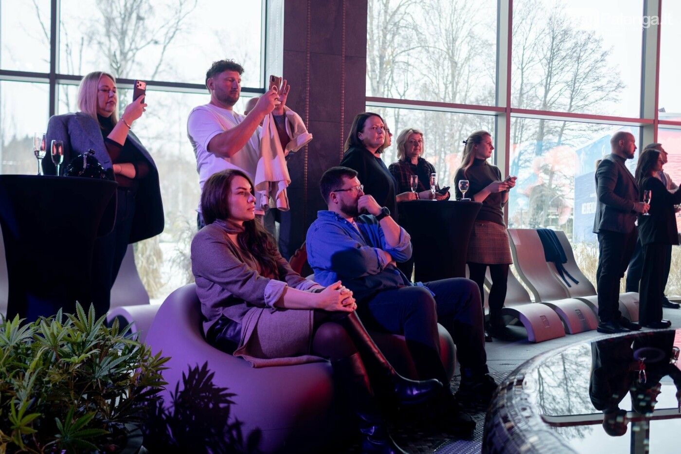 Kai menas peržengia drobės ribas. Algis Kriščiūnas pristato naują savo paveikslų filmą milžiniškame „Gradiali“ baseinų erdvės ekrane, nuotrauka-7