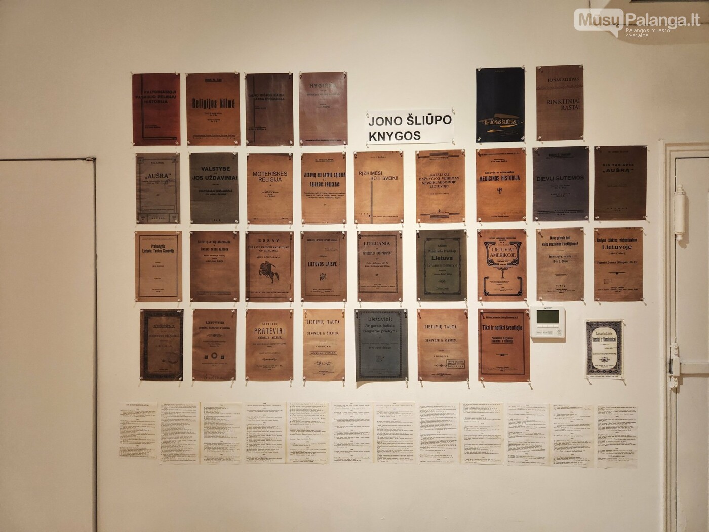 Per Atlantą ir idėjas: Jono Šliūpo gyvenimo kelias parodoje Niujorke, nuotrauka-2