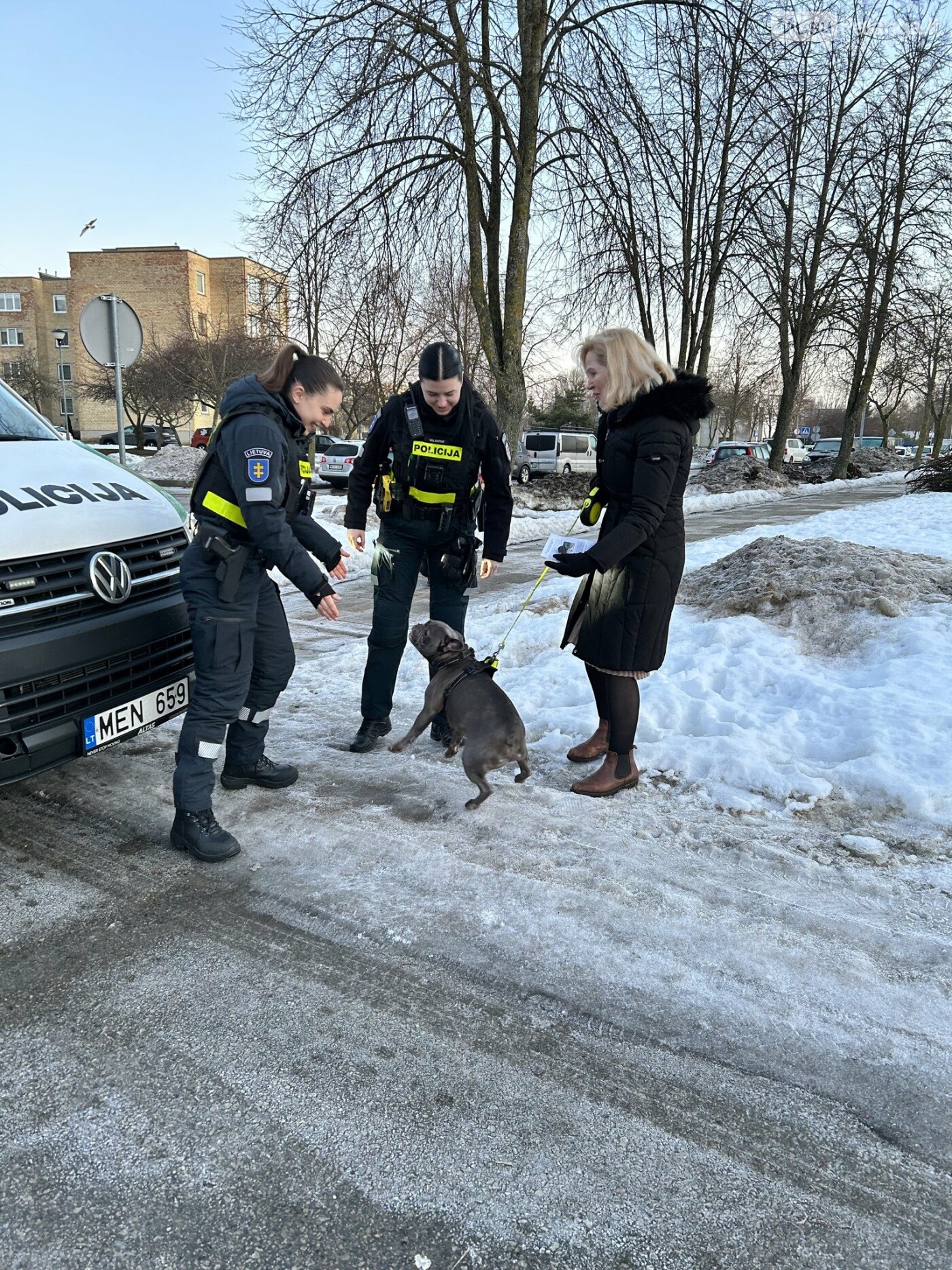 Palangos savivaldybė primena: vedžiodami gyvūnus nepamirškite aplinką palikti švarią, nuotrauka-4