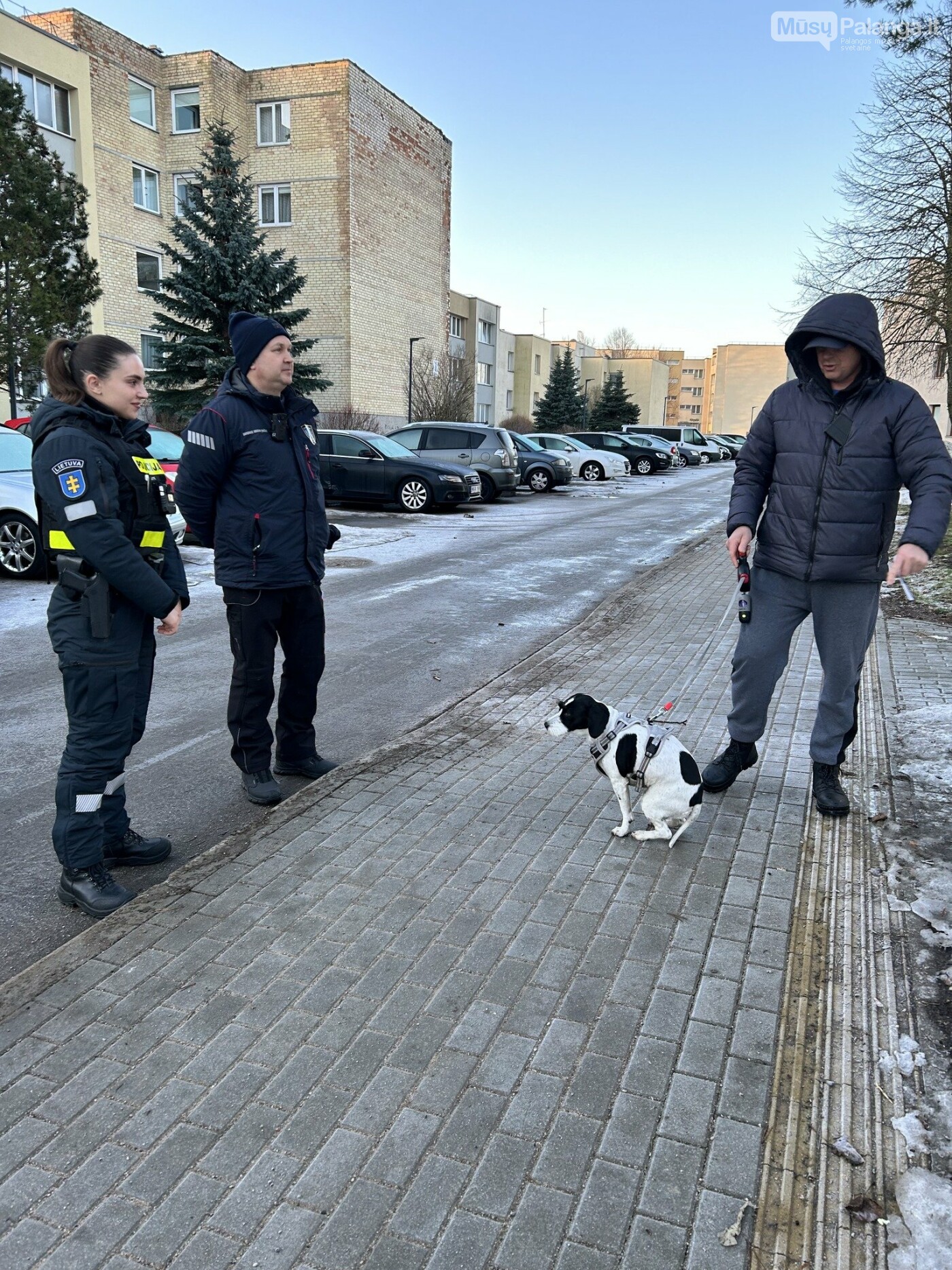 Palangos savivaldybė primena: vedžiodami gyvūnus nepamirškite aplinką palikti švarią, nuotrauka-5