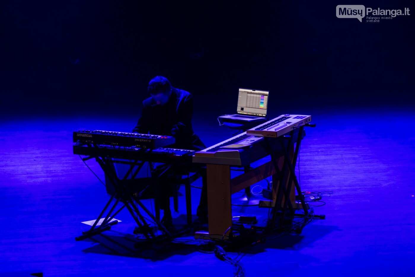 Dariaus Zvinklio nuotr.