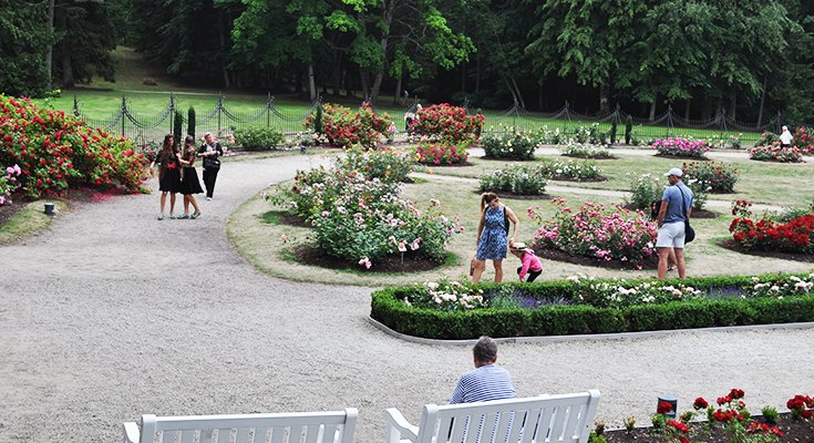 Žydintis Palangos Birutės parkas nuvilioja turistus iš J.Basanavičiaus gatvės (nuotraukų albume - parkas šiandien), nuotrauka-22